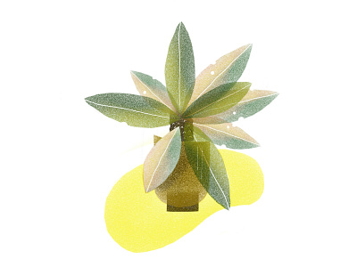 Plants in my balcony adobe adobesketch illustrated illustrations ipadpro plants