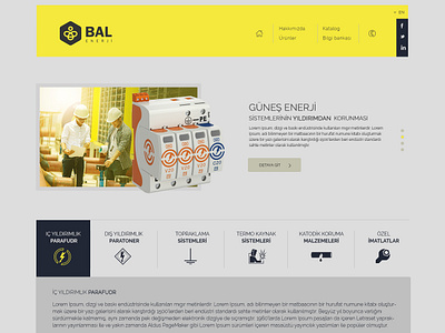 Balenerji creative design uidesign uiux webdesign