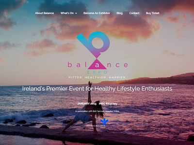 Balance Expo Website (Ireland) branding design illustration logo ui ux website