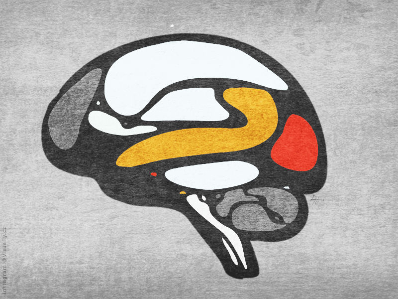 Brain / Psychedelic Experience Series /Loop animation brain framebyframe gif loop morph