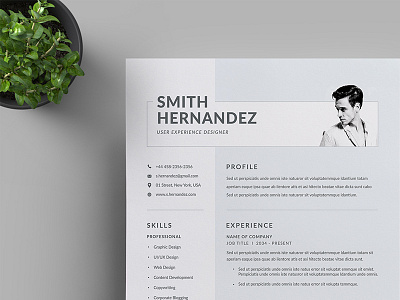 Resume/CV a4 branding business business letterhead clean corporate corporate identity cv template docx letterhead modern resume professional professional resume resume simple stationery us letter vector word word template