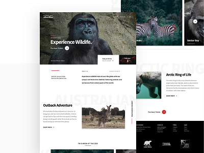 Zoo homepage homepage landing landing page photography ui ui design ux ux design web design zoo