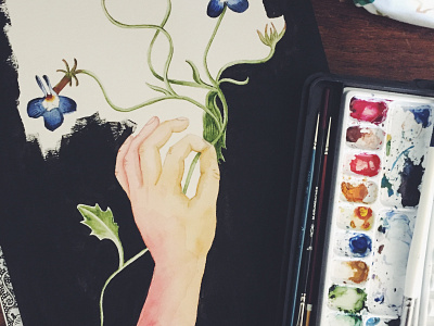 Lobelia design illustration watercolor