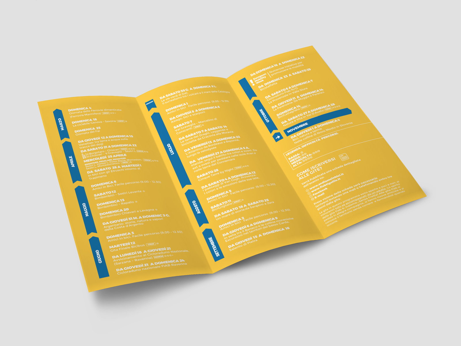 Example of Fiab - Trifold Brochure
