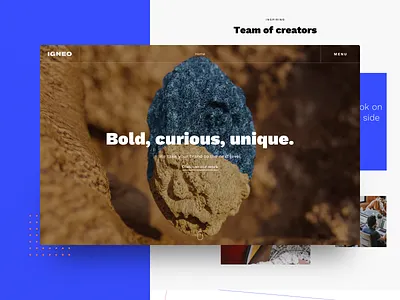 IGNEO agency portofolio ui