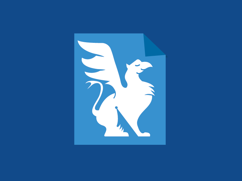 Example of Custom Logo  Design & Brand Guidelines