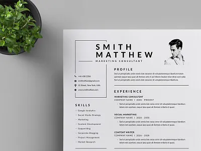 Resume/CV a4 branding business business letterhead clean corporate corporate identity cv template docx letterhead modern resume professional professional resume resume simple stationery us letter vector word word template