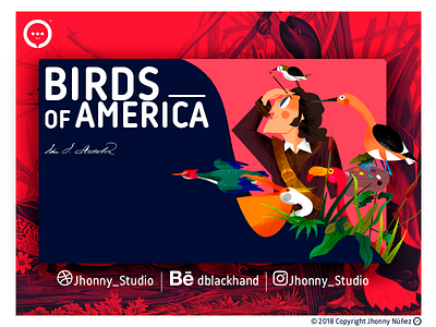 YOUTUBE - BIRDS OF AMRICA book character design color palette design flat gouache illustration ilustración jhonny núñez tittlecard video youtube youtuber