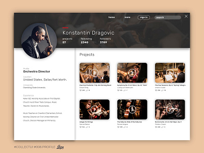 #006 Profile 006 app collect ui dailyui design designer music ui ux vector violin web