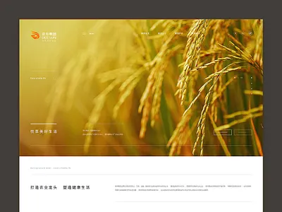 Love food festival food. - 09/04/2018 at 12:03 AM design 品牌 响应式 成都 网页设计 胖哥脑门会发光 设计 食品