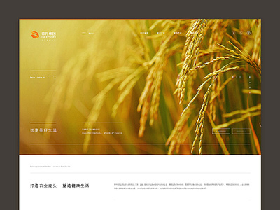 Love food festival food. - 09/04/2018 at 12:03 AM design 品牌 响应式 成都 网页设计 胖哥脑门会发光 设计 食品