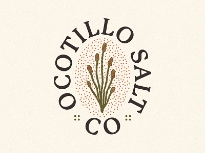 Ocotillo Salt Co / Branding Case Study brand identity branding chile desert desert plant lime logo ocotillo packaging salt spice spice company tajin