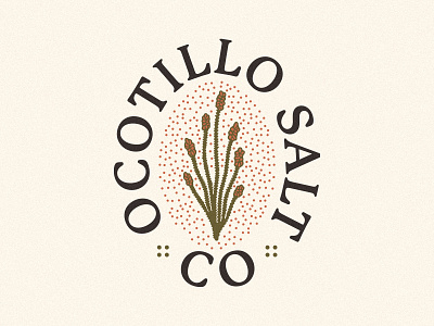 Ocotillo Salt Co / Branding Case Study brand identity branding chile desert desert plant lime logo ocotillo packaging salt spice spice company tajin