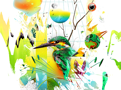 Collage Segment abstract art birds collage colorful contemporary design digital 2d digitalpaint dribbble freestyle glitch photoshop poster print tropical