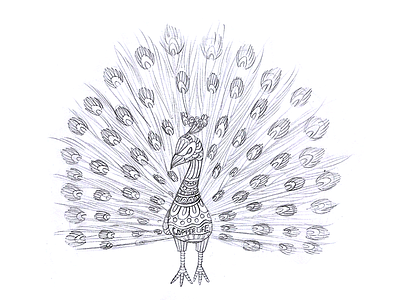 Peacock Sketch bird cartoon design draw drawing koncept peacock pencil sketch sketch sketching