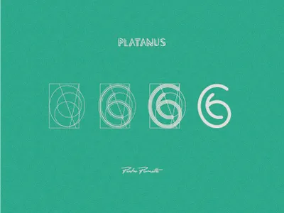 Platanus "6" brand diagram grid letra logotype tipografia typography