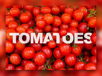 Tomatoes food type typography web