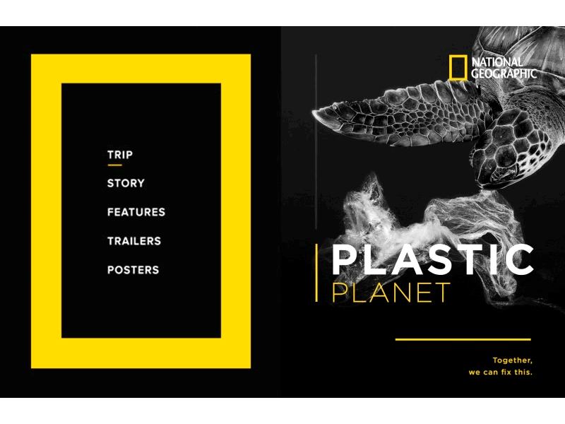 National Geographics I Web Banner banner gif gif animation national geographic turtles web
