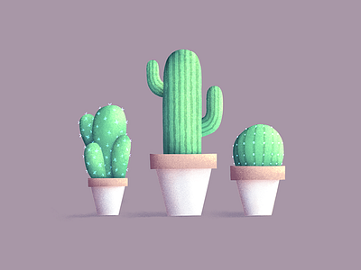 Cactus Plants character design flat flowers green illustration photoshop plants pot texture