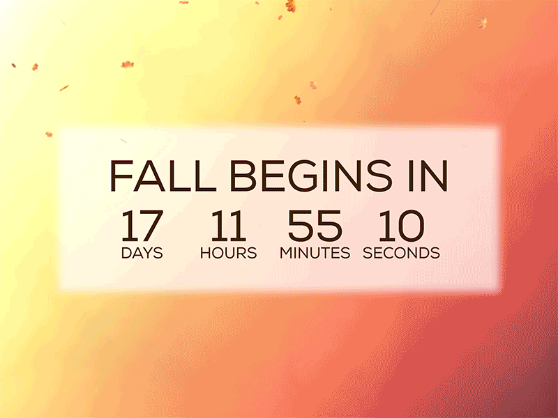 Daily UI Day 14: Countdown 100daysofui after effects animation illustrator photoshop ui