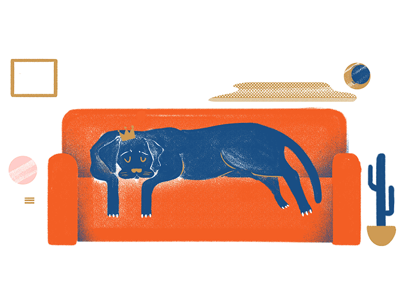 Sleeping Coca digital illustration ilustracion motion motion animation photoshop wacom