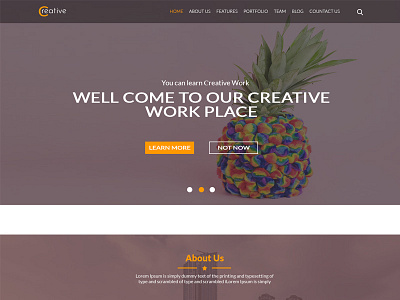 Dribble 1 branding design illustration logo minimal typography ui ux vector
