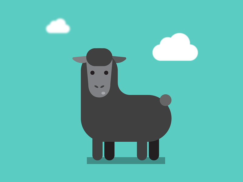 Black sheep aftereffects animation flat flatvector illustration illustrator motion vector