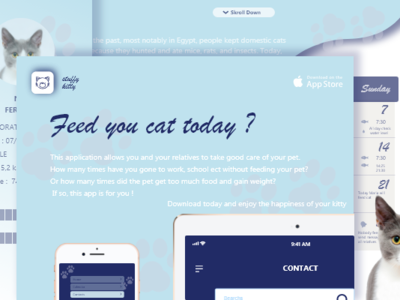 LandingPage adobe xd app apple blue cat dailyui dailyui003 feed footprint iphone landing page logo mobileapp photoshop water