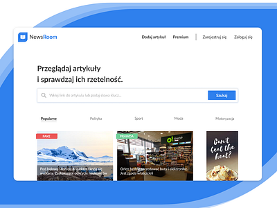 NewsRoom platform ui ux website website concept