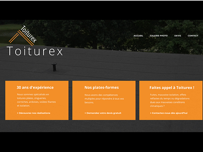 Toiturex Logo branding design graphicdesigner illustration illustrator logo mistersmith roofcompany ui ux webdesign