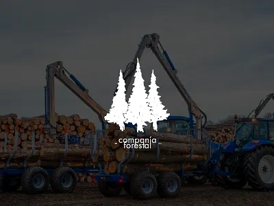 Forestal Company Logo - Branding branding contrast flat logo logotype modern portfolio ui ux