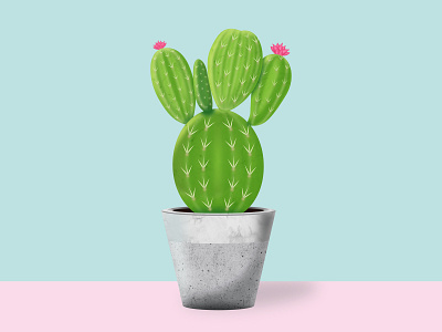 Cactus cactus design graphic design illustration illustrator texture vector