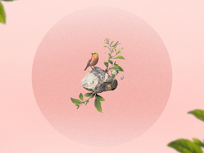 Coin of Composure bird illustration pink vintage