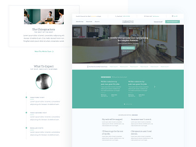 Scientific Chiropractor Care Website | Bellevue Chiropractic branding design product design ui ux web