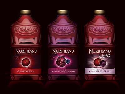 Northland Dark Juice Concept branding design packaging packaging design