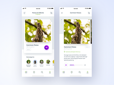 Birdy App app appdesign appinspiration birdyapp carddesign cards commonpotoo detailspage ios ui uiinspiration ux