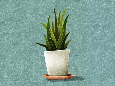 Snake Plant decor foliage illustration nature pet plant snake plant