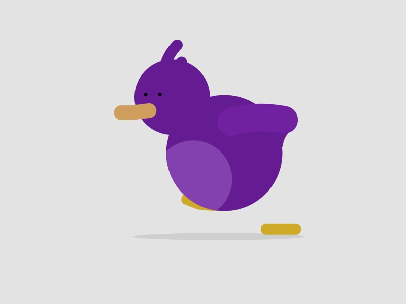 Kiwi 2d animation after effect animal animation design flat design illustration kiwi mood motion grapic purple shoe polish walkcycle