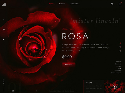 Red Rose Landing Page design landing page ui web