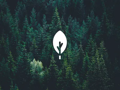 Leaf design forest graphic icon illustration leaf logo logotype nature tree vector