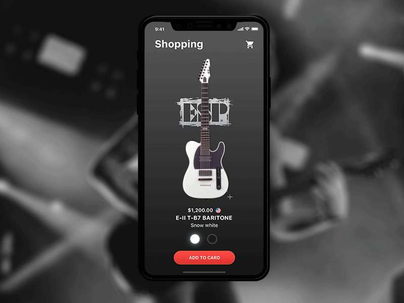 Shopping ESP Guitars 012 dailyui guitars shop