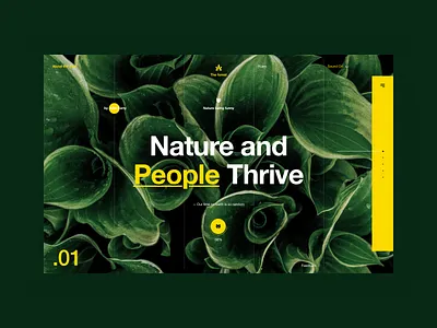 The forest web forest hd interface nature ui ux web wood