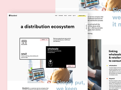 Web UI exploration black white brutal cannabis clean layout minimal pastel web webdesign