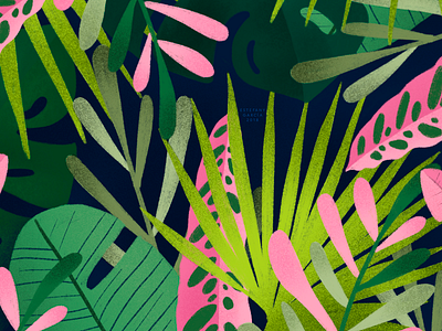 Leaf pattern #2 identity illustration lettering pattern pattern design pink print visual