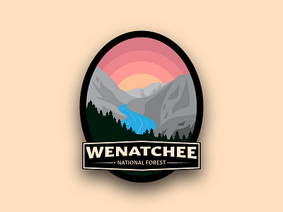 Twenty-Five of Thirty Logos Challenge design logo logodesign thirtylogos thirtylogoschallenge