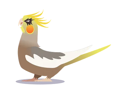 Rockatiel illustator illustration student work vector artwork working progress