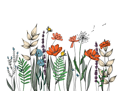 Wildflower Field botanical art botanical illustration botanical line drawing botanicals floral background floral design floral illustration flower illustration flowers nature illustration wildflower wildflowers