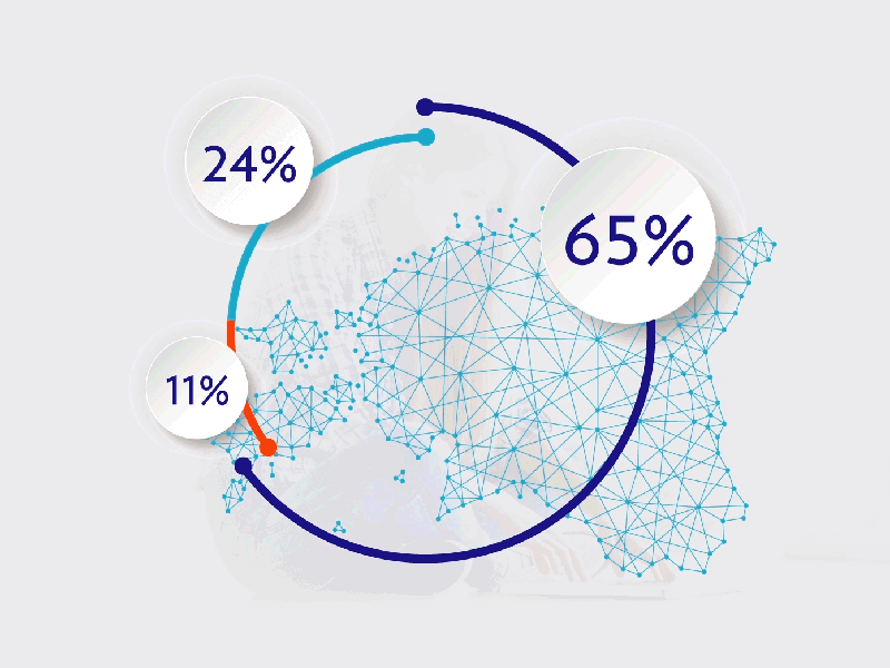 Elisa Animation Infographics after effects design illustration illustrator logo photoshop vector