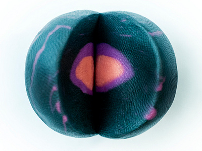 Something inside experiement illistration photograph plasticine