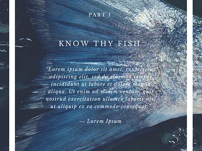 Ebook Chapter Design book design ebook